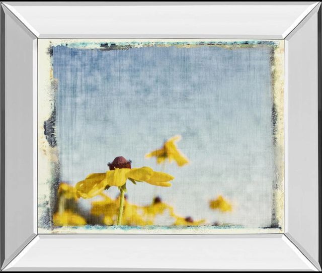 Classy Art Blackeyed Susan I by Meghan Mcsweeney Mirror Framed Wall Art-0