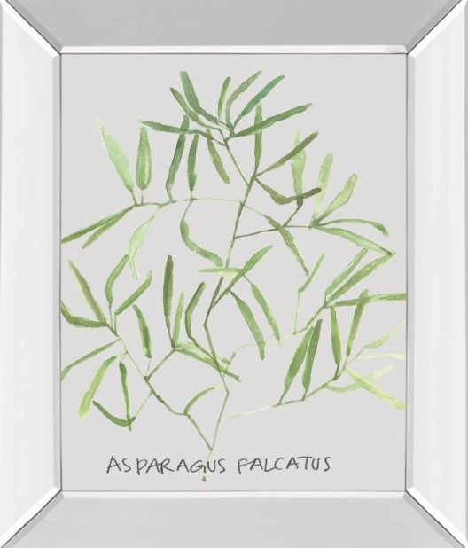 Classy Art Asparogus Falcatus by Katrien Soeffers Mirror Framed Wall Art-0