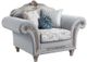 ACME Furniture Pelumi Light Gray/Platinum Chair-0