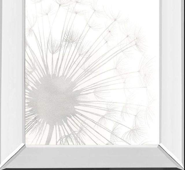 Classy Art Dandelion Whisper I by Grace Popp Mirror Framed Wall Art-1