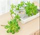 A & B Home Green Faux Double Dudleya Succulent-2