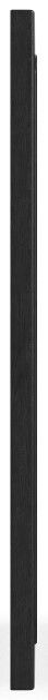 Flexsteel® Waterfall Ebony Mirror-2