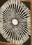 Jaipur Furniture Rasmus Brown Sideboar-2