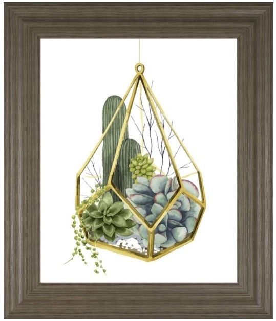 Classy Living Grace Popp Wild Terrarium IV Wall Art-0
