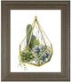 Classy Living Grace Popp Wild Terrarium IV Wall Art-0