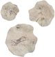 Uttermost® Teo 3-Piece Bleached Wall Decor Set-0