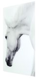 YHD Nature's Beauty I Wall Art-1