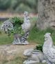 A & B Home Gray Manon Hen Planter-3