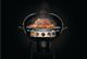 Napoleon Charcoal Ring and Diffusor Plate-1
