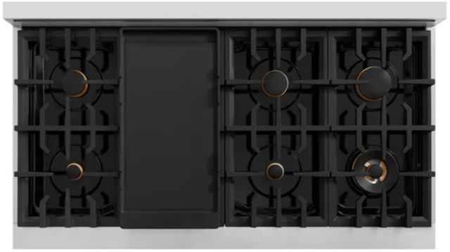 ZLINE Classic Autograph Edition 48" Stainless Steel Pro Style Dual Fuel Range with Black Matte Door and Champagne Bronze Accents-2