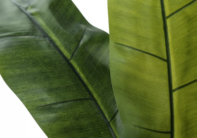 Monarch Specialties Inc. Green/Black 55" Artificial Potted Banana Tree-2