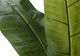 Monarch Specialties Inc. Green/Black 55" Artificial Potted Banana Tree-2