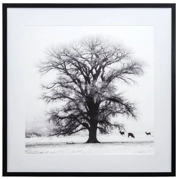 YHD Winter's Morning Fog IV Wall Art-0