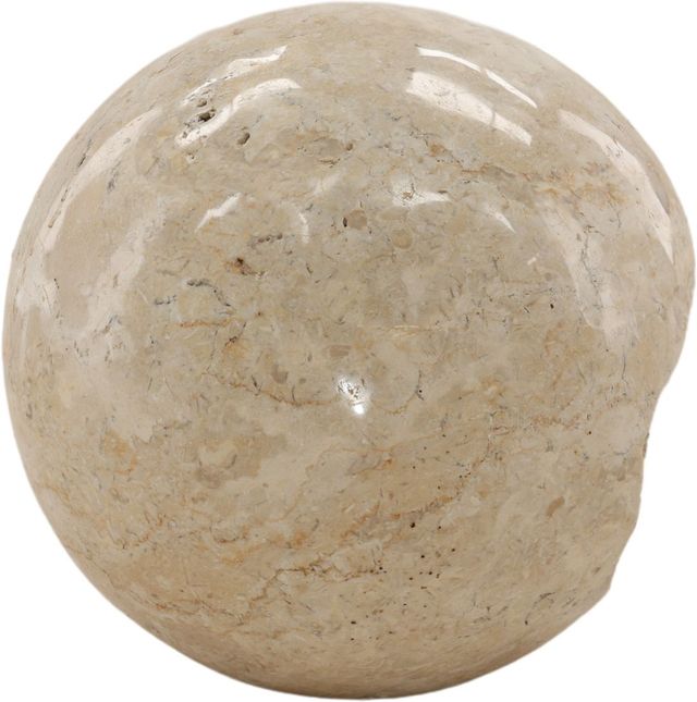Dovetail Furniture Laro Natural Sculpture-2