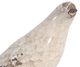 A & B Home Antique Cream Bird-1