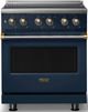 Viking® 5 Series 30" Slate Blue Pro Style Induction Range with Brushed Brass Trim-0