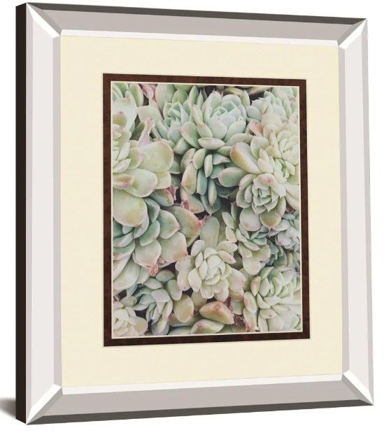 Classy Art Translucent Succulents By Chelsea Kedron Mirror Framed Wall Art-0