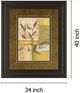 Classy Living Norm Olson Urban Garden I 34" Wall Art-2