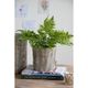 A & B Home Nickel Planter-4