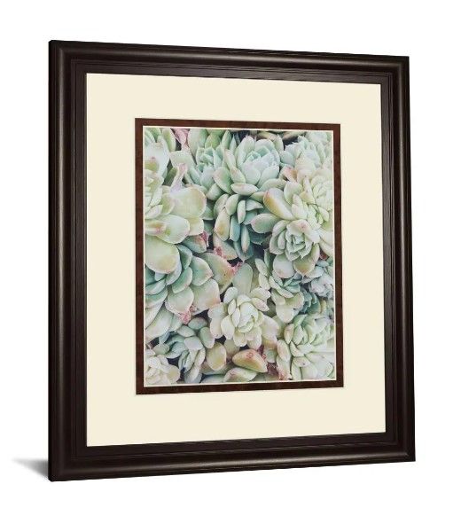 Classy Art Translucent Succulents by Chelsea Kedron Wall Art-1