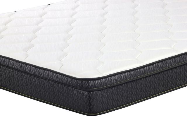 Coaster® Evie 9.25" Hybrid Euro Top Queen Mattress-2