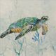Stylecraft Sea Turtle Swim I Beige/Blue/Green Wall Art-1