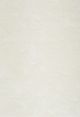 Nourison Home™ Pacific Shag Ivory 5'x7' Area Rug-0