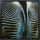 Stylecraft Dann Folely Lifestyle Zebra by Fitzharris Black/Blue/Light Green Wall Art-0