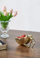 A & B Home Gold Nut Decorative Bowl-5
