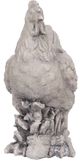 A & B Home Gray Manon Hen Planter-0