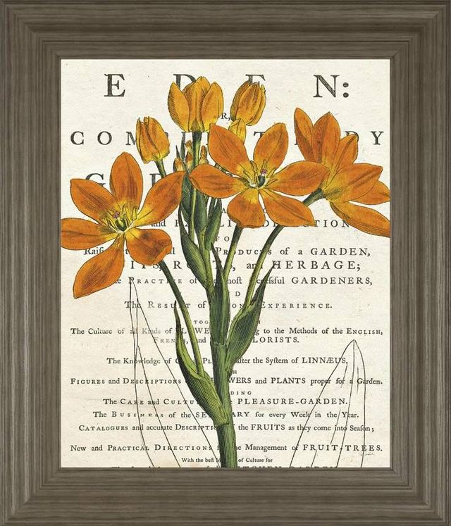 Classy Art Eurphoria Botany by Sue Schlabach Wall Art-0