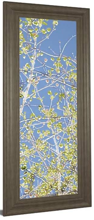 Classy Art Spring Poplars III by Sharon Chandler Wall Art-1