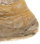 A & B Home Eduardo Beige Hand-Carved Zebra Onyx Bowl-1