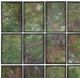 A & B Home 12-Piece Brown/Green Wall Art Set-1