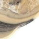 A & B Home Eduardo Beige/Black Hand-Carved Zebra Onyx Bowl-1