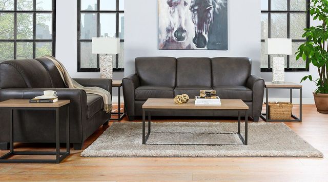 Decor-Rest® Furniture LTD Customizable 3404 Leather Double Sofa Bed-3
