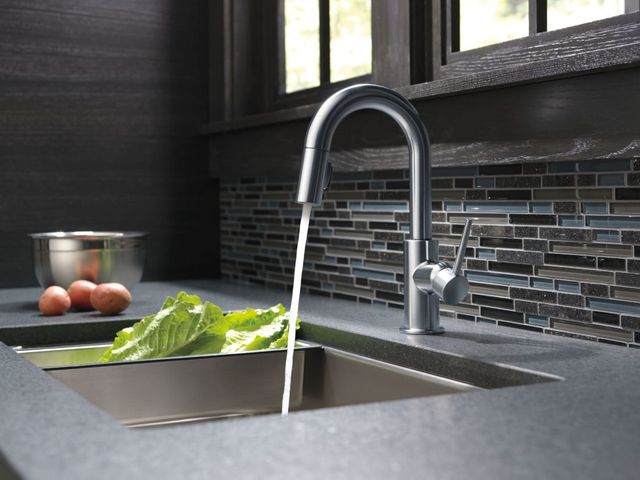 Delta Trinsic® Arctic Stainless Single Handle Pull-Down Bar/Preparation Faucet with Limited Swivel-2