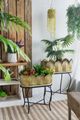A & B Home 2-Piece Black/Gold Planter with Legs Set-5