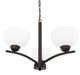 YHD Alta Peak Robust Coffee Brown 3-Light Chandelier-3