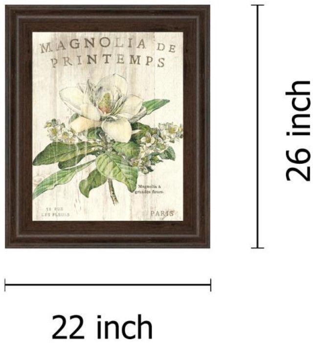 Classy Living Sue Schlabach Magnolia De Printemps Wall Art-2