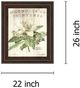 Classy Living Sue Schlabach Magnolia De Printemps Wall Art-2