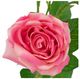 A & B Home Pink Faux Rose Spray-2