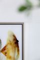 A & B Home 2-Piece Black/Gold/White Printed Acrylic Wall Art-4