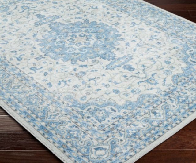 Surya Hera Blue 4'x6' Area Rug-2