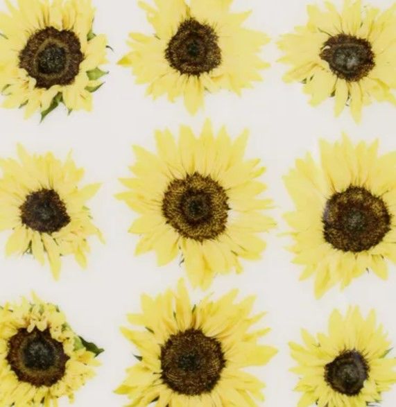 Stylecraft Epoxy Blooms II Wall Art-1