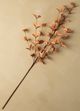 Magnolia Home by Joanna Gaines Light Sienna Eucalyptus Stem-0