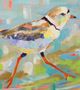 Stylecraft Coastal Plover II Multi-Colored Wall Art-1