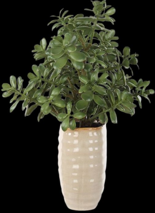 Uttermost® Crassula Jade Green Accent Plant-3