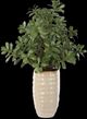 Uttermost® Crassula Jade Green Accent Plant-3