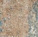 Nourison Home™ Glitz 5'x7' Style 6 Area Rug-5